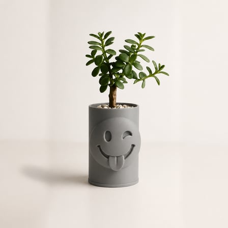 3D Baskı Emoji Planter - Göz Kırpan Yüzlü Sukulent Saksısı-Gri