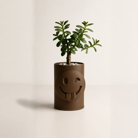 3D Baskı Emoji Planter - Göz Kırpan Yüzlü Sukulent Saksısı-Kahverengi