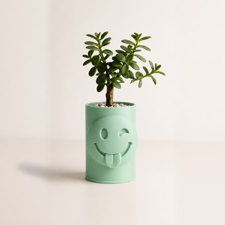 3D Baskı Emoji Planter - Göz Kırpan Yüzlü Sukulent Saksısı-Mint