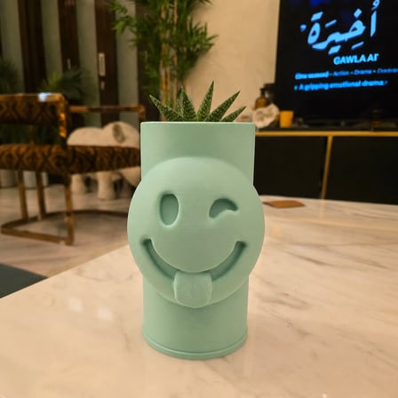 3D Baskı Emoji Planter - Göz Kırpan Yüzlü Sukulent Saksısı-Mint