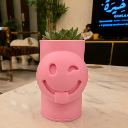 3D Baskı Emoji Planter - Göz Kırpan Yüzlü Sukulent Saksısı-Pembe