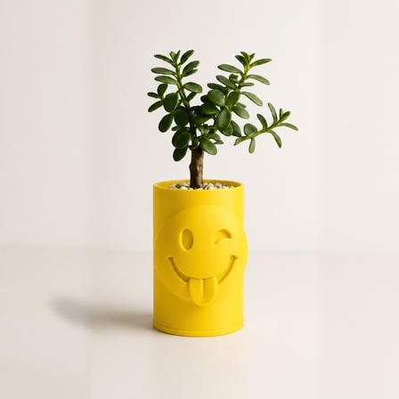 3D Baskı Emoji Planter - Göz Kırpan Yüzlü Sukulent Saksısı-Sarı