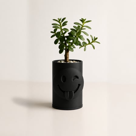 3D Baskı Emoji Planter - Göz Kırpan Yüzlü Sukulent Saksısı-Siyah