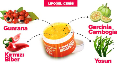 Lipogel Bandrollü Firmasından Orjinal Ürün Lipo Gel Bölgesel Kullanım Jeli 150Ml 3 Adet