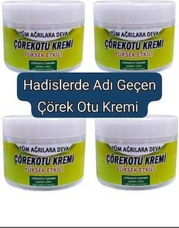 Beauty Clınıc Çörek Otu Kremi Ağrılarınız Için 4 Adet - 100 ml * 4
