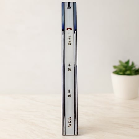 Frenli Teleskopik Bilyalı Çekmece Rayı 43x450mm