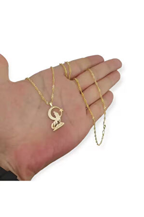 Modahilye 925 Ayar Gümüş Bozkurt Ayyıldız Tasarım Altın Kaplama Kolye