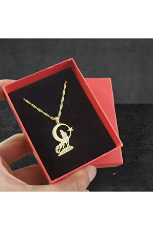 Modahilye 925 Ayar Gümüş Bozkurt Ayyıldız Tasarım Altın Kaplama Kolye