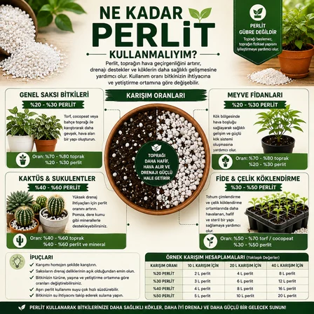 Boncuk Tarımsal Perlit 10 Litre – Saksı Toprak Havalandırıcı, Drenaj ve Fide Çelik Köklendirme Perliti