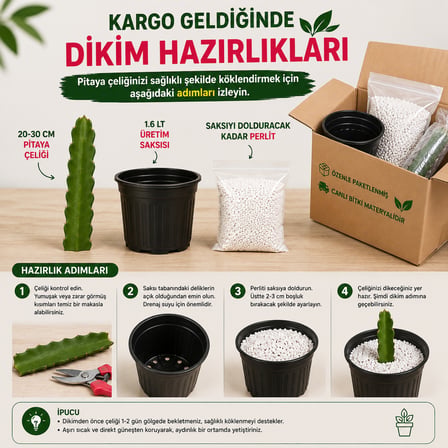 Kendi Pitayanı Yetiştir! Ejder Meyvesi Başlangıç Seti 20-30 cm Çelik + 1,6 L Saksı + Perlit