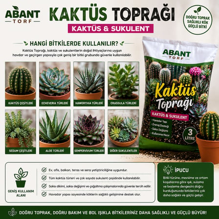 Kaktüs & Sukulent Toprağı 3 Litre – Havadar ve Drenaj Destekli Özel Karışım