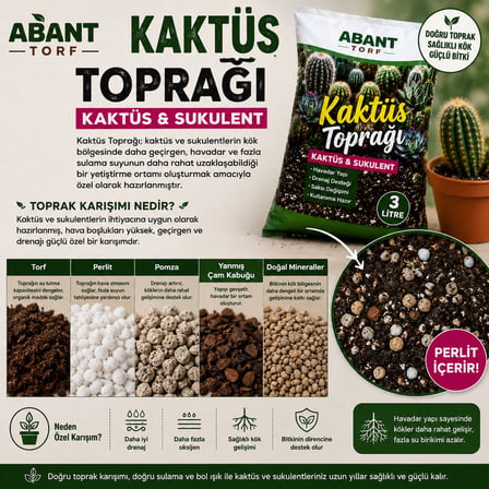 Kaktüs & Sukulent Toprağı 3 Litre – Havadar ve Drenaj Destekli Özel Karışım