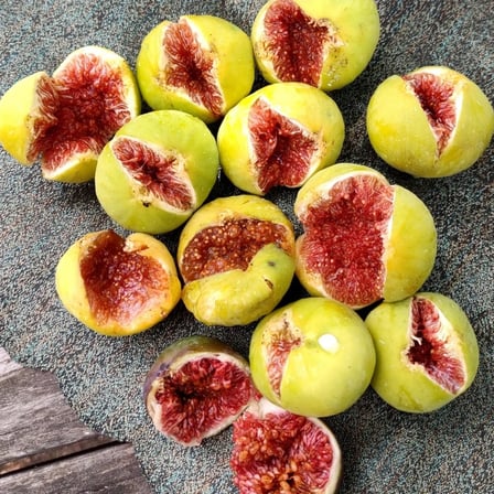 Sarı Hindi İnciri Fidanı – Yellow Turkey Nadir Sarı Meyveli Özel İncir Çeşidi | Ficus Carica