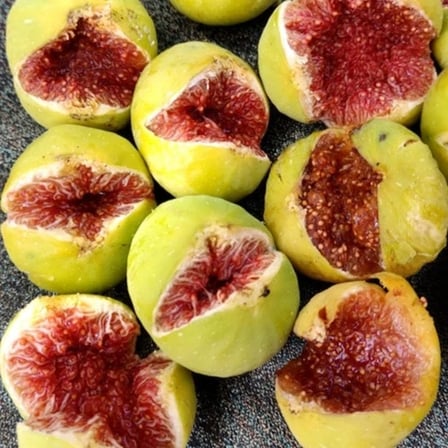Sarı Hindi İnciri Fidanı – Yellow Turkey Nadir Sarı Meyveli Özel İncir Çeşidi | Ficus Carica