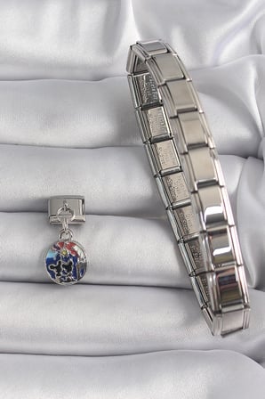 316L Çelik Gümüş Renk Sallantı Dünya Model Charm
