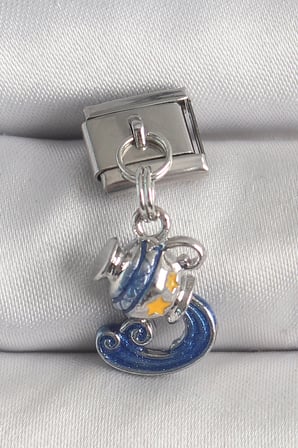 316L Çelik Gümüş Renk Sallantı Kova Burç Model Charm