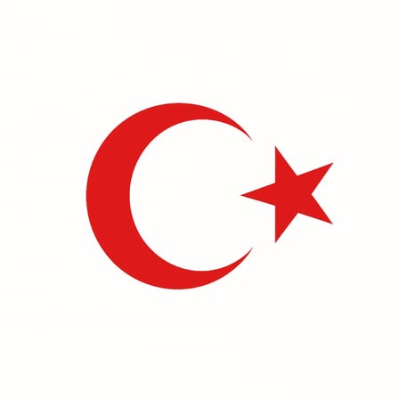 Türk Bayrağı Oto Sticker Kırmızı 23x17 cm