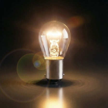 BAZ15D/7225 21/4W 12V Çapraz Tırnak Fren ve Park Lambası Ampulü Çift Duy 1 Adet Gün Işığı
