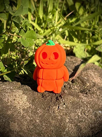Balkabağı Oyuncak- Festivali Macerası🎃 3D Hareketli Organik Model - Orta Boy