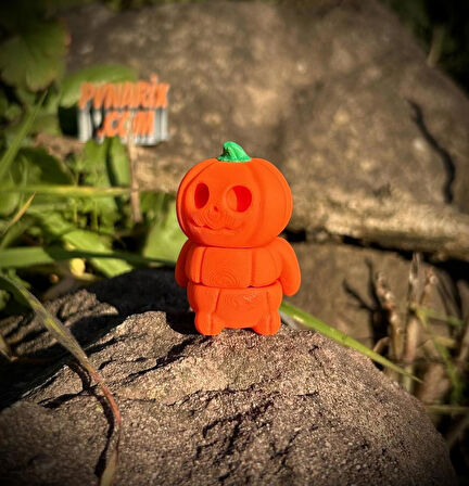 Balkabağı Oyuncak- Festivali Macerası🎃 3D Hareketli Organik Model - Orta Boy