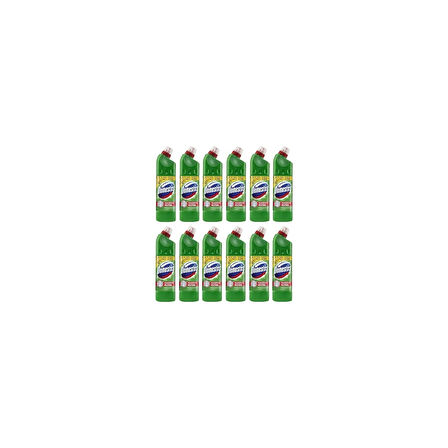 DOMESTOS Çamaşır Suyu Dağ Esintisi 806 gr 12'li Set