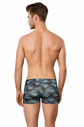 Doreanse Erkek Desenli Boxer 1735