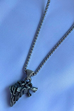 Kurt El İşçiliği Paslanmaz Çelik Zincir Erkek Kolye