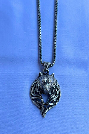 Kurt Başlı El İşçiliği Paslanmaz Çelik Zincir Erkek Kolye