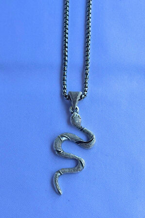 Yılan El İşçiliği Paslanmaz Çelik Zincir Erkek Kolye