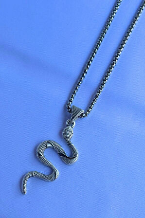 Yılan El İşçiliği Paslanmaz Çelik Zincir Erkek Kolye