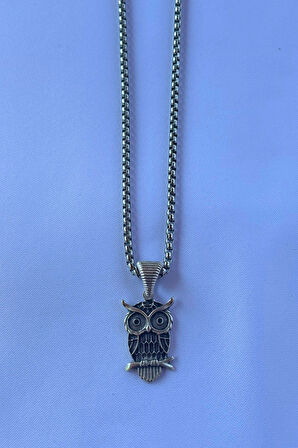 Baykuş El İşçiliği Paslanmaz Çelik Zincir Erkek Kolye