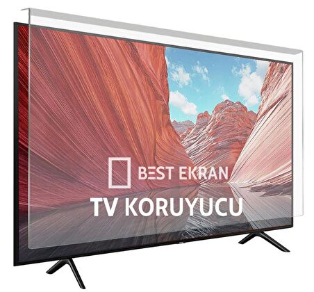 Tcl 65" inç 164 Ekran Tv Ekran Koruyucu Paneli