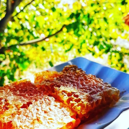 Bizim Köy Ev Ürünleri Doğal Petek Balı