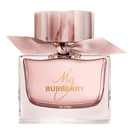 MY Burberry blush Eau de parfüm 90 ml