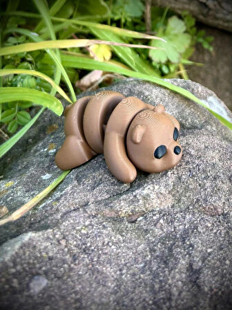 Boz Ayı Oyuncak - Ormanların Güçlü ve Bilge Koruyucusu! 🐻🌲✨3D Hareketli Organik Model - Orta Boy