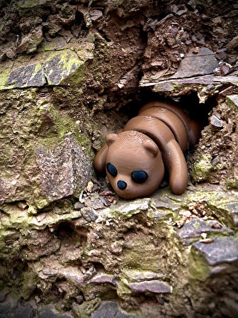 Boz Ayı Oyuncak - Ormanların Güçlü ve Bilge Koruyucusu! 🐻🌲✨3D Hareketli Organik Model - Orta Boy