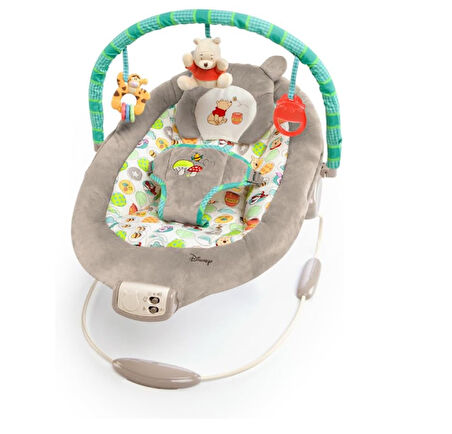 Bright Starts Winnie The Pooh Dots & Hunny Pots Sallanan Bebek Titreşimli Ana Kucağı