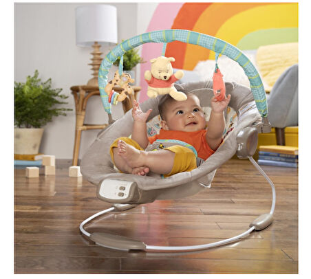 Bright Starts Winnie The Pooh Dots & Hunny Pots Sallanan Bebek Titreşimli Ana Kucağı