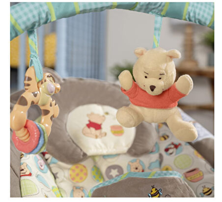 Bright Starts Winnie The Pooh Dots & Hunny Pots Sallanan Bebek Titreşimli Ana Kucağı