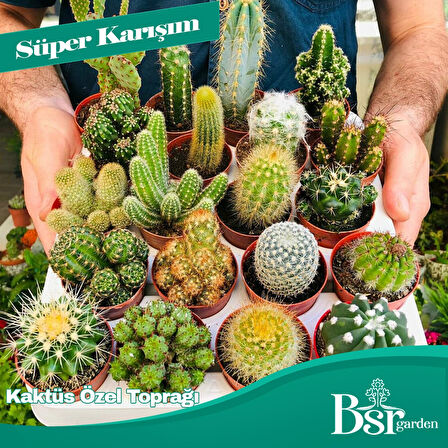 Bsr Garden Kaktüs Özel Toprağı 3 Litre