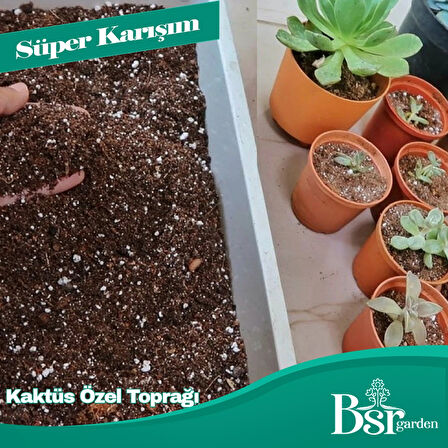 Bsr Garden Kaktüs Özel Toprağı 3 Litre