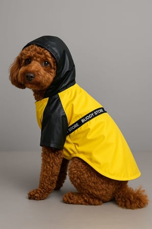 Buddy Store Premium "Stormy Walk" Yağmurluk – Şık ve Su Geçirmez Köpek Montu (Wild Buddy Edition)