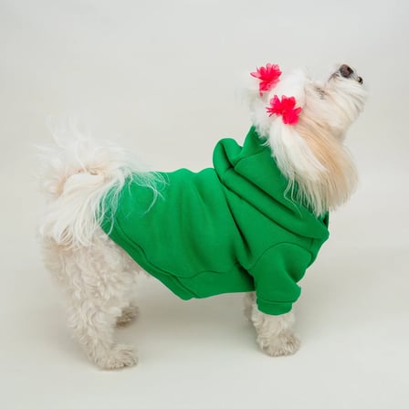 Yeşil Baskısız Kedi ve Köpek Sweatshirt Hoodie