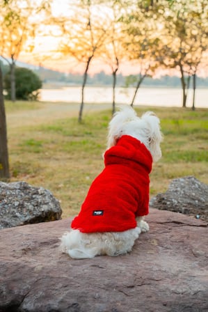 Köpek Kıyafeti Peluş Sweatshirt - Kapüşonlu Koleksiyon