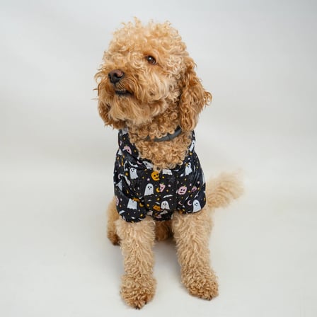 Kedi & Köpek Kıyafeti Yağmurluk - Su Geçirmez Waterproof Kumaş