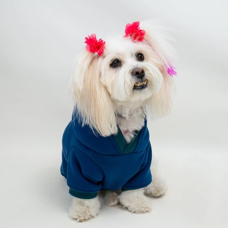 İndigo Mavi Baskısız Kedi ve Köpek Sweatshirt Hoodie