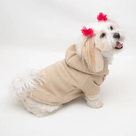 Bej Baskısız Kedi ve Köpek Sweatshirt Hoodie