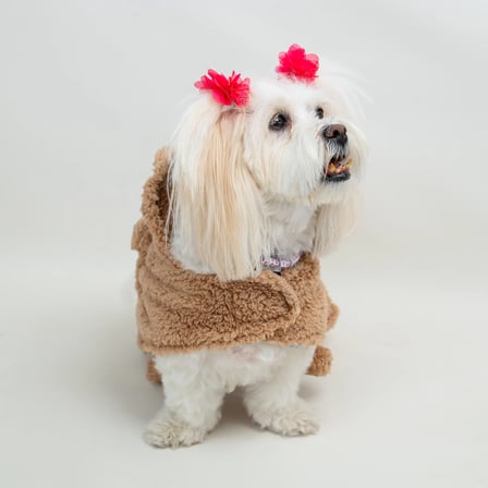 Kedi & Köpek Kıyafeti - Kahverengi Peluş Bornoz