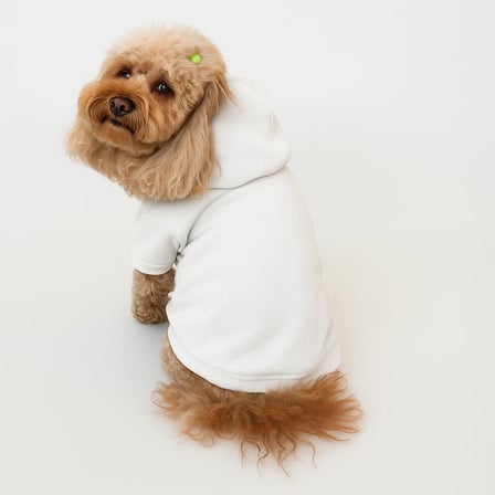 Kedi & Köpek Kıyafeti Beyaz Sweatshirt Hoodie