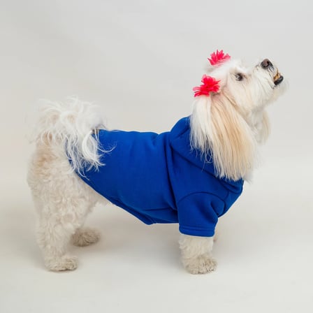 Saks Mavi Baskısız Kedi ve Köpek Sweatshirt Hoodie
